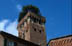 Lucca (Toscana - Italy)