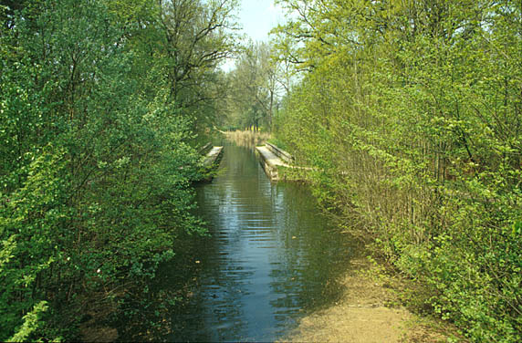Schwarzachtal
